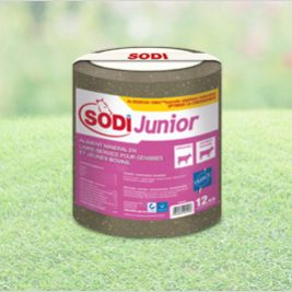 牛舔盐块 - SodiJunior - salins-agri - 微量元素 / 镁 / 磷