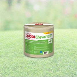 马舔盐块 - SodiCheval'ail - salins-agri - 微量元素 / 微量元素 / 镁