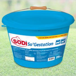 牛舔盐块 - SodiSo'Gestation - salins-agri - 山羊 / 微量元素 / 维生素