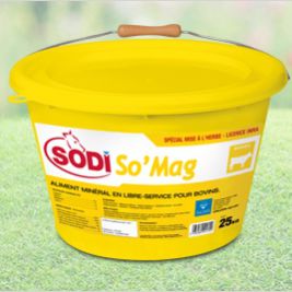 牛舔盐块 - SodiSo'Mag - salins-agri - 微量元素 / 镁 / 磷