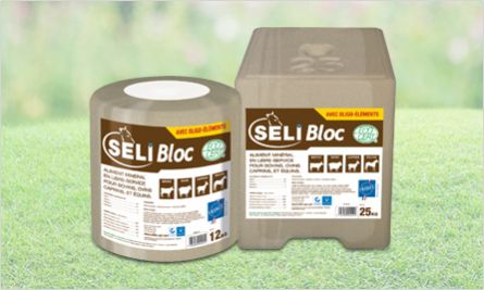 牛舔盐块 - SeliBloc - salins-agri - 山羊 / 羊用 / 马