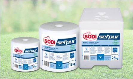 牛舔盐块 - SODI SEL’PUR - salins-agri - 马 / 羊用 / 山羊