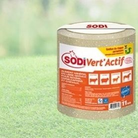 牛畜牧盐舔块 - SodiVert’Actif - salins-agri - 羊用 / 山羊 / 马