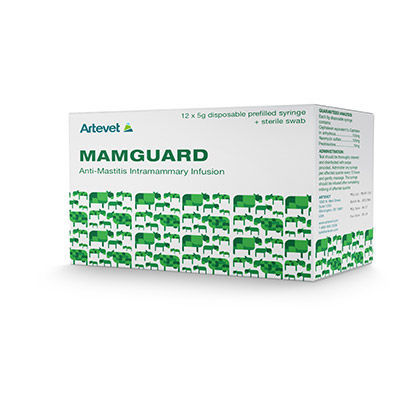 消炎饲料添加剂 - Mamguard - artevet - 牛 / 干式