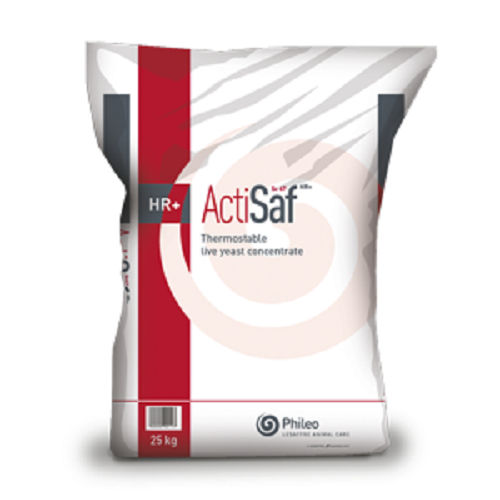 动物饲料补充剂 - Actisaf® Series - phileo-lesaffre - 牛 / 马用 / 猪