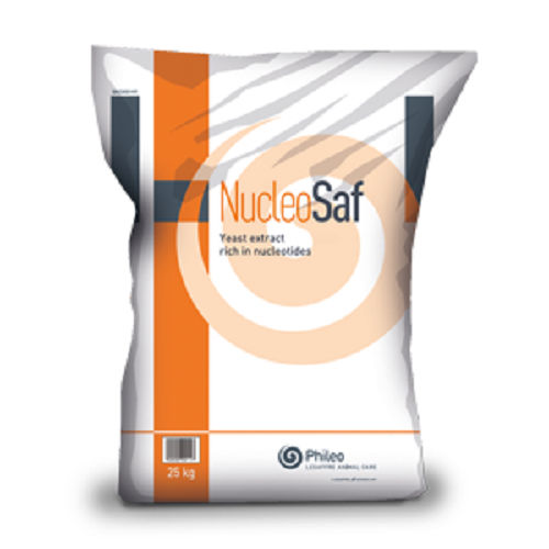 动物饲料补充剂 - Nucleosaf®600 - phileo-lesaffre - 牛 / 家禽 / 猪
