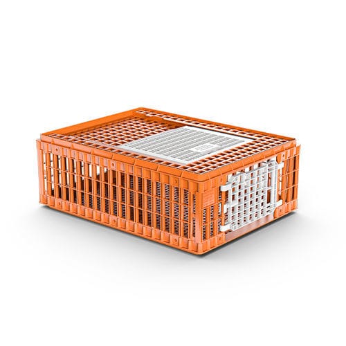 鸡运输筐 - 0102002.01 - Giordano Global - 塑料