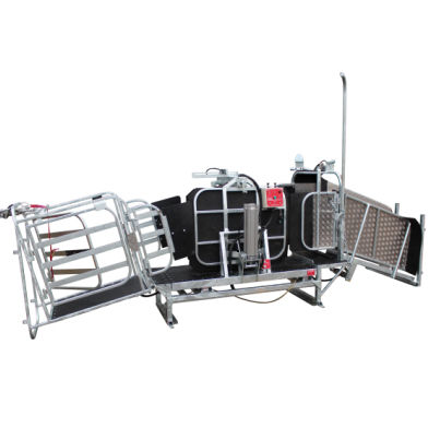 绵羊保定架 - Crutch and Weigh Combo - farmquip