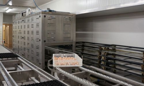 食用蛋鸡蛋传送系统 - Transfer de(stacker) - ME International Installation GmbH - 自动