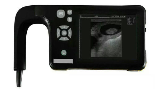 便携式兽用超声诊断仪 - S5 - Selcuklu Veteriner Hayvancilik Ltd. Sti - 羊用 / 犬用 / 线性