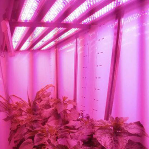植物生长种植箱 - MPC - Laboratory Infrastructure Solutions - 催芽 / 种子保存 / 用于研究