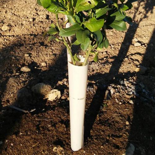 树木栽培种植管 - PN27-10xxR - PACKNET AMBALAJ - 葡萄园 / 卷式 / 板式