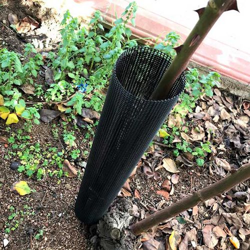防护网 - PACKNET AMBALAJ - 植物支撑 / 聚丙烯 / 树木栽培