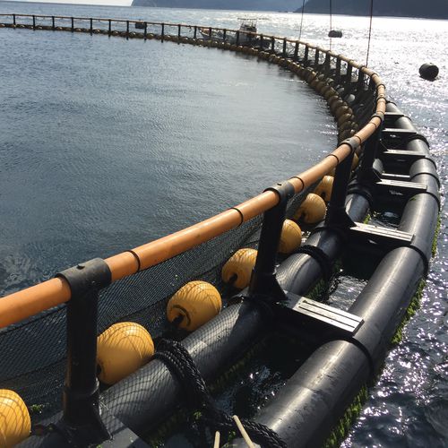 水产养殖浮动船坞 - Toford - 塑料