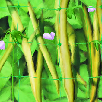 植物支撑网 - plastic screenmesh - 收获 / 聚丙烯