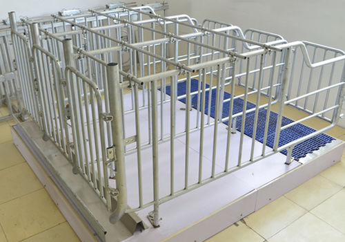 条缝地板妊娠猪舍 - Gestation stall_1 - Qingdao Deba Brother Machinery Co.,Ltd