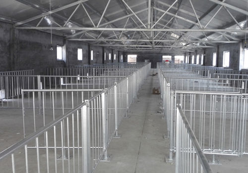 妊娠猪舍 - Finishing Stall_2 - Qingdao Deba Brother Machinery Co.,Ltd