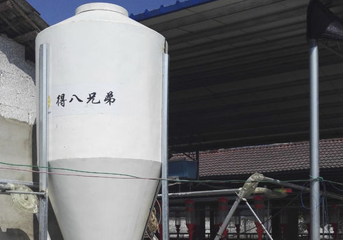 饲料筒仓 - Silo_2 - Qingdao Deba Brother Machinery Co.,Ltd - 金属 / 圆形 / 锥底