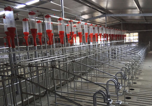 饲料滴注喂食机 - Qingdao Deba Brother Machinery Co.,Ltd - 农用建筑 / 自动