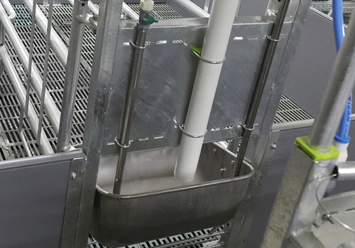 母猪喂食器 - 33103 - Qingdao Deba Brother Machinery Co.,Ltd - 不锈钢 / 单入口
