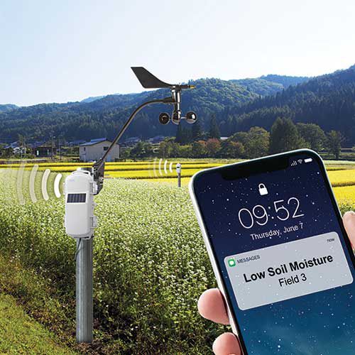 农作物监控系统 - HOBOnet Remote Field Monitoring System - Onset - 土壤 / 无线 / 远距离
