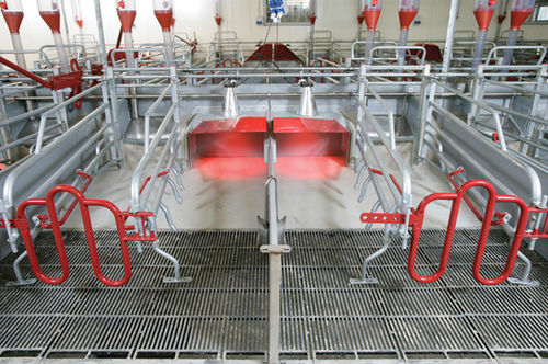 防压保护栏母猪产仔栏 - INN-0-CRATE - Qingdao Chima Asia Machinery Co., Ltd