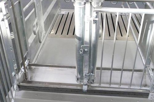 母猪喂食器 - Qingdao Chima Asia Machinery Co., Ltd - 不锈钢 / 钢 / 单入口