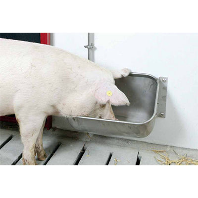 母猪喂食器 - Qingdao Chima Asia Machinery Co., Ltd - 不锈钢 / 单入口 / 墙面固定