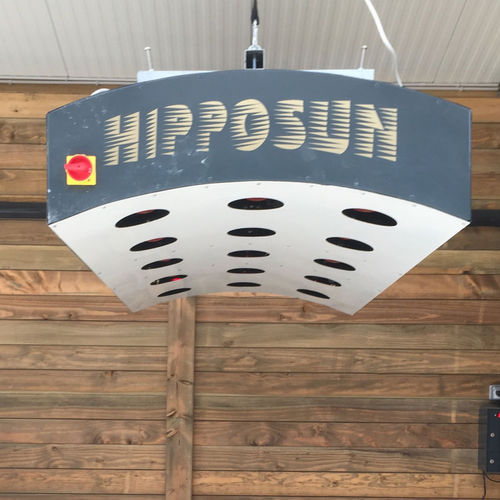 干燥马日光浴室 - hippocenter - 赛前热身