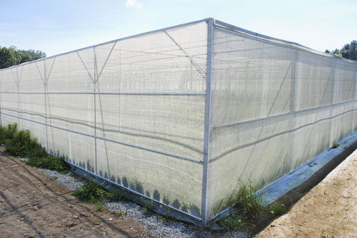 平顶温室 - FLAT ROOF STRUCTURE - Invernaderos FERTRI - 连栋 / 花园 / 展览