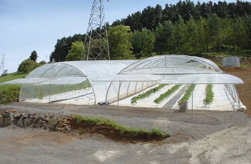 隧道式温室 - TUNNEL - Invernaderos FERTRI - 花园 / 展览 / 塑料