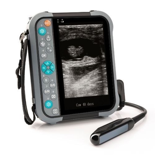 黑白兽用超声诊断仪 - M5V - Shenzhen Well.D Medical Electronics/威尔德医疗电子 - 手持式 / 大型动物 / 线性