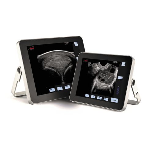 便携式兽用超声诊断仪 - ExaPad - IMV Technologies - 马科动物 / 腹部成像 / 用于生殖成像