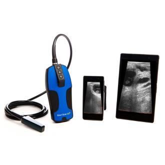 手持式兽用超声诊断仪 - Easi-Scan:Go Veterinary Ultrasound scanner - IMV Technologies - 牛 / 腹部成像 / 用于生殖成像
