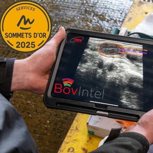 手持式兽用超声诊断仪 - BovIntel - IMV Technologies - 牛 / 线性 / 凸面