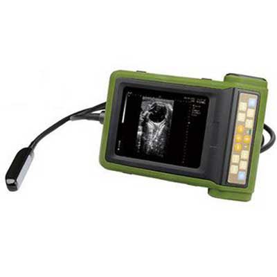 手持式兽用超声诊断仪 - RKU-10 Vet  - Diagnostic Imaging Systems - 电池动力