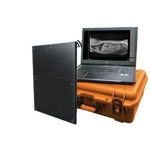 兽医X光造影平板探测器 - DR Wizard EZ - Diagnostic Imaging Systems - 14 x 17 / 直接转换 / 数字