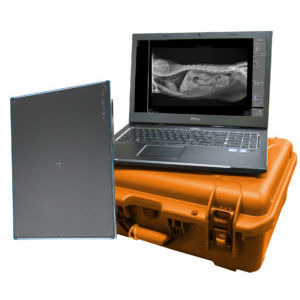 兽医X光造影平板探测器 - DR Wizard 2.0 - Diagnostic Imaging Systems - 14 x 17 / 直接转换 / 数字