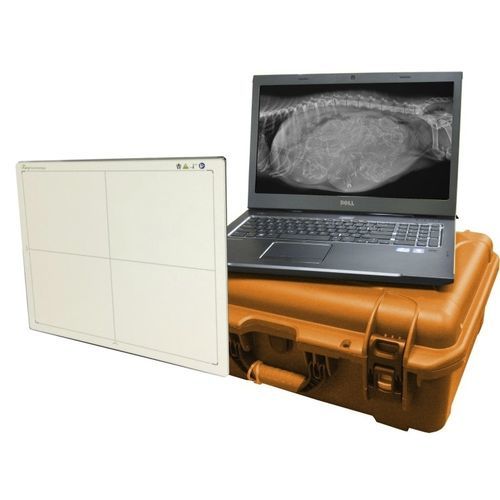兽医X光造影平板探测器 - DR-Wizard - Diagnostic Imaging Systems - 14 x 17 / 直接转换 / 数字