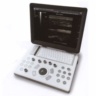 便携式兽用超声诊断仪 - iuStar100 B/W Vet - Diagnostic Imaging Systems - 牛 / 马科动物 / 小动物