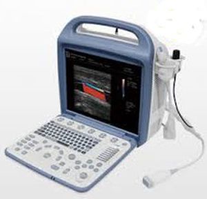 便携式兽用超声诊断仪 - iuStar160Vet - Diagnostic Imaging Systems - 小动物 / 凸面 / 腹部成像