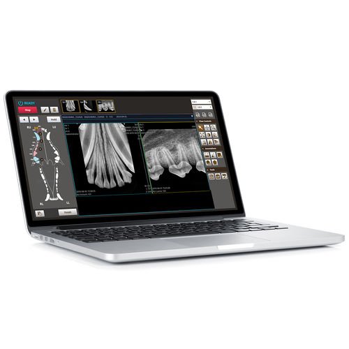 牙科造影软件 - MyVet Dent™ - my vet imaging - 兽用 / 实时