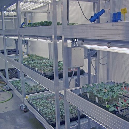 植物生长种植箱 - MONTI & C Tecnologie del Freddo S.r.l. - 用于研究