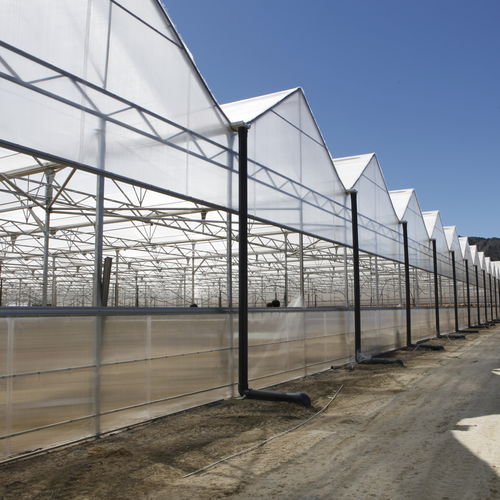 多尖顶温室 - NEW GROWING SYSTEM S.L. - 塑料