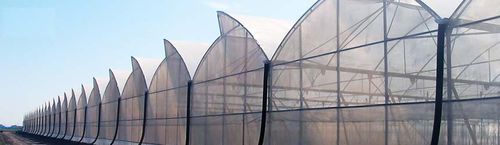 连栋温室 - APA series - NOVAGRIC (Novedades Agrícolas, S.A.) - 塑料 / 永久性