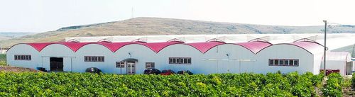连栋温室 - APW series - NOVAGRIC (Novedades Agrícolas, S.A.) - 钢结构 / 永久性