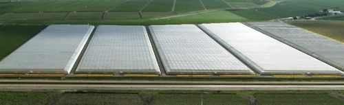 连栋温室 - APN - NOVAGRIC (Novedades Agrícolas, S.A.) - 实验 / 塑料 / 网眼