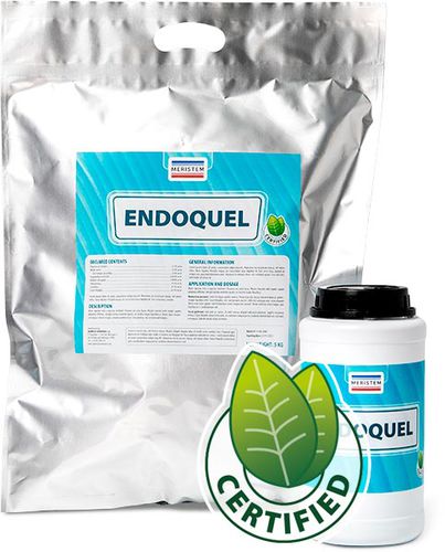 有机肥料 - Endoquel - Quimicas Meristem S.L. - 微量元素 / 富集硼 / 富铁