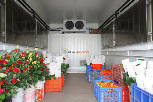 花卉冷却装置 - SURYA AGROTECH THAILAND CO LTD - 用于仓储