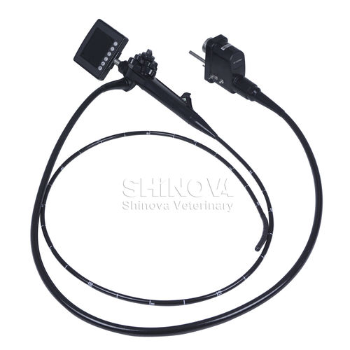 弹性动物内窥镜 - Gastrix 85V - shinova vet - 用于小型动物 / 消化系统 / 视频